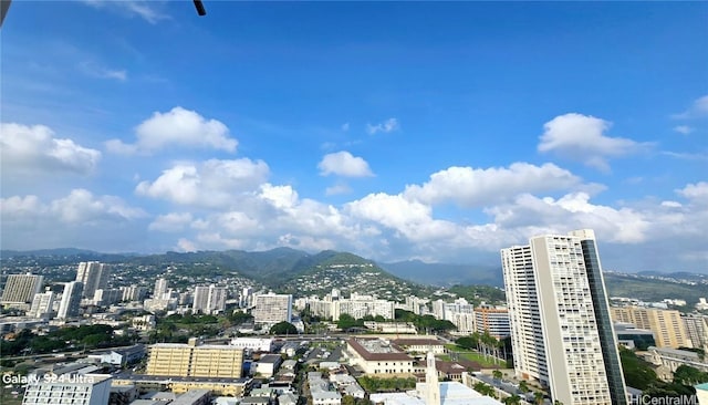 property's view of city featuring a mountain view