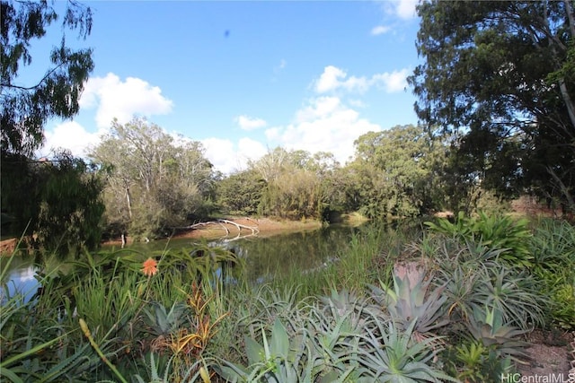 view of water feature