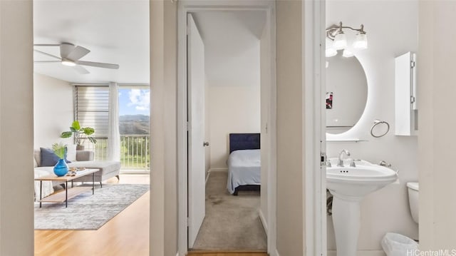 bathroom with toilet, hardwood / wood-style floors, ceiling fan, and a wall of windows