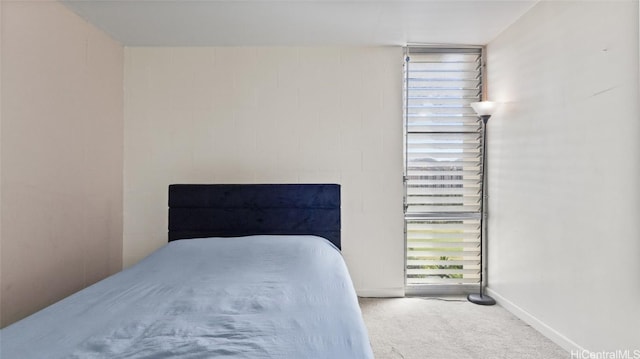 bedroom featuring carpet