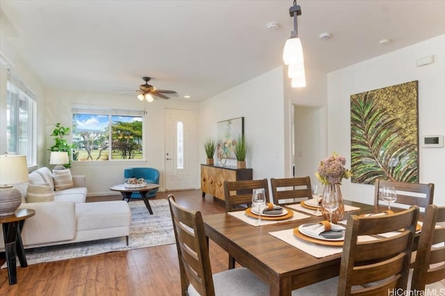 dining room with wood finished floors and ceiling fan