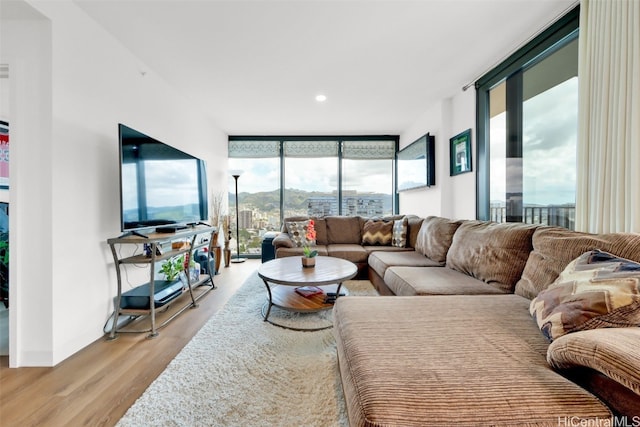 living area with a wall of windows and light wood-type flooring