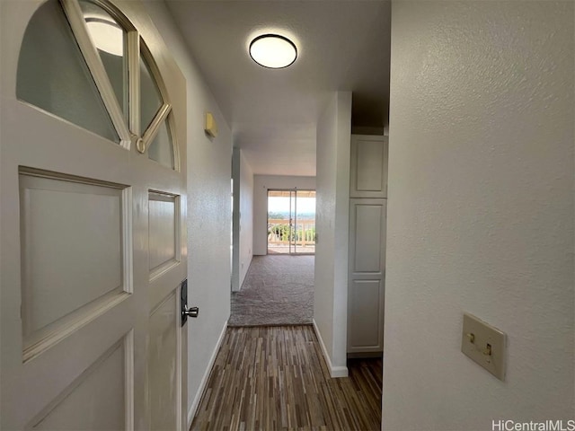 hallway featuring dark hardwood / wood-style flooring