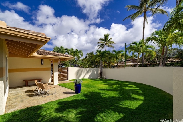 view of yard with a fenced backyard and a patio