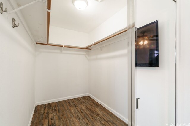 walk in closet featuring dark wood-type flooring