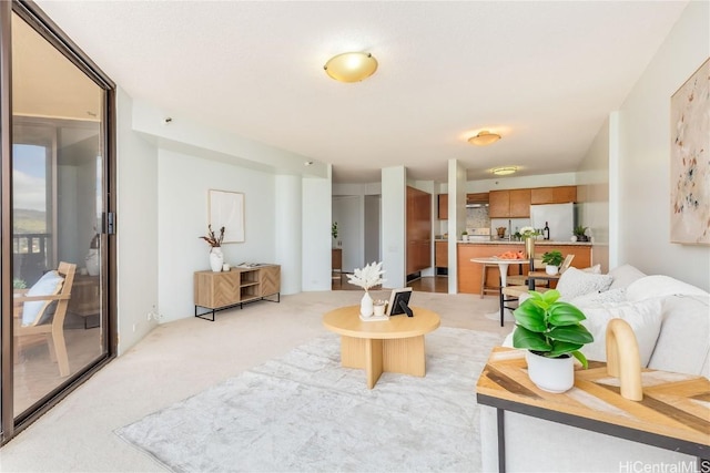 living room with light carpet