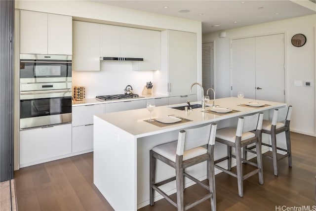 kitchen with sink, white cabinetry, a kitchen breakfast bar, stainless steel appliances, and a kitchen island with sink