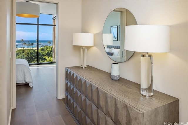 interior space featuring a water view and dark hardwood / wood-style floors