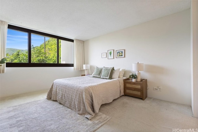 bedroom featuring carpet and a textured ceiling