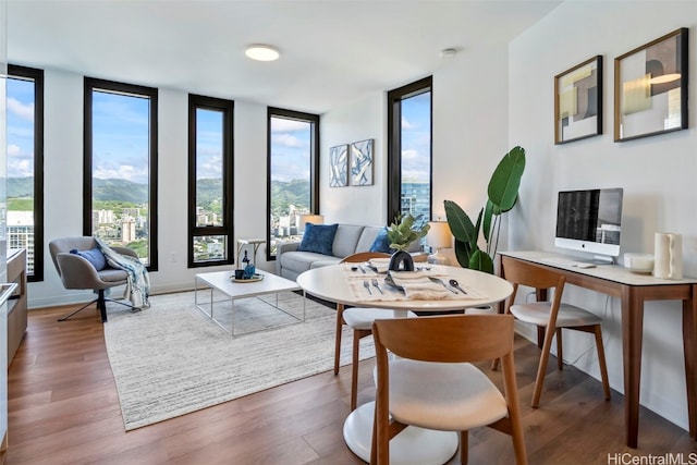 living area with a wealth of natural light, baseboards, and wood finished floors