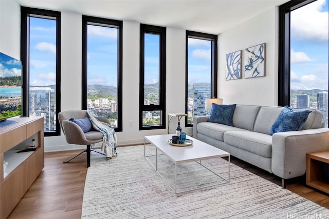 living room featuring light wood-style floors, floor to ceiling windows, and baseboards