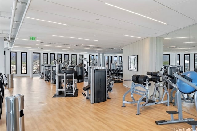 gym featuring wood finished floors