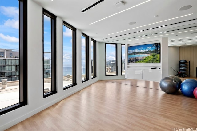 exercise area with baseboards, wood finished floors, and floor to ceiling windows