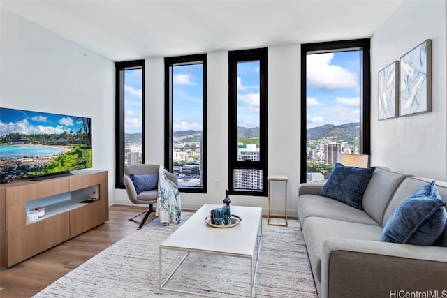 living room featuring a healthy amount of sunlight, a mountain view, a wall of windows, and wood finished floors