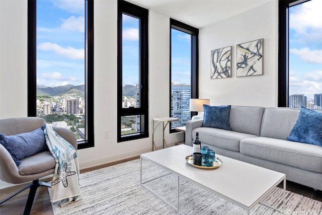 living area with a city view, a mountain view, wood finished floors, a wall of windows, and baseboards