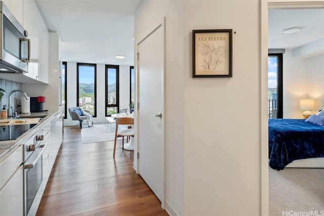 hall featuring expansive windows, a sink, and wood finished floors