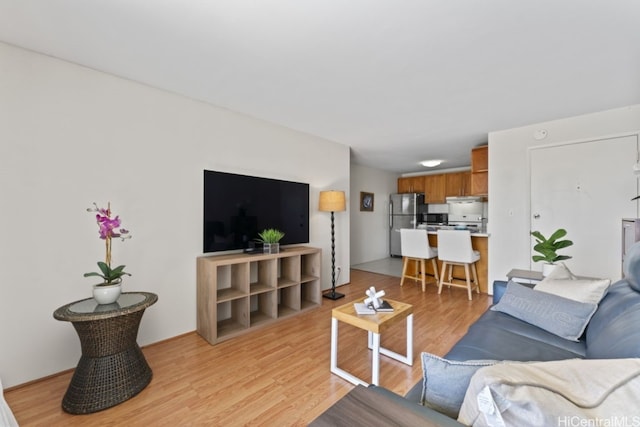 living room featuring light wood finished floors