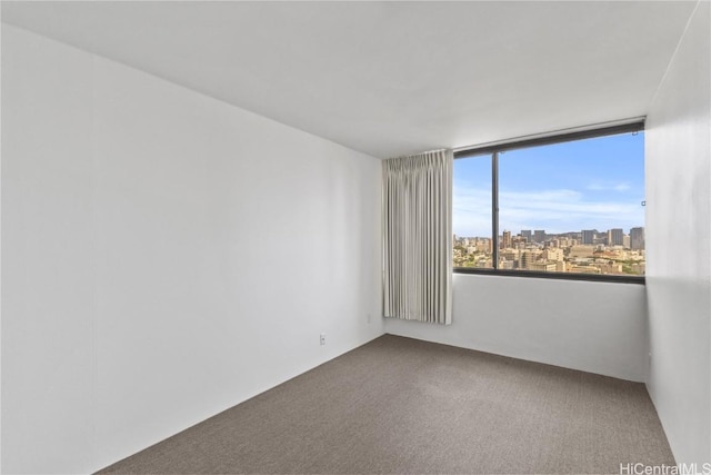 spare room featuring a view of city and carpet floors