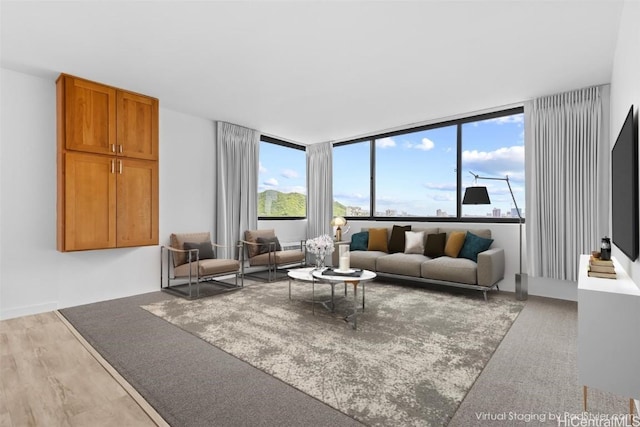 living room with wood finished floors