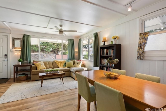 sunroom / solarium with a ceiling fan and track lighting