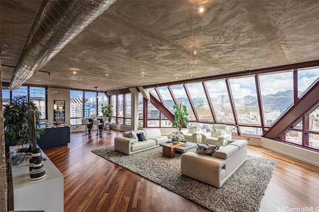 living area featuring a mountain view and wood finished floors