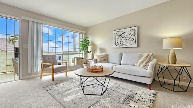 living room with carpet floors