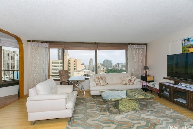 living area with a textured ceiling and wood finished floors