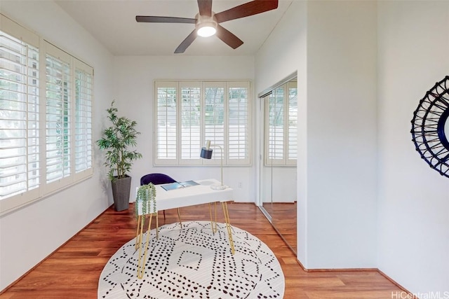 office featuring plenty of natural light, wood finished floors, and a ceiling fan