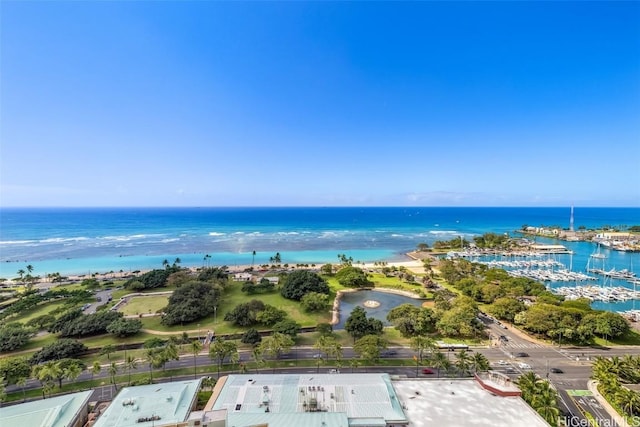 bird's eye view with a water view