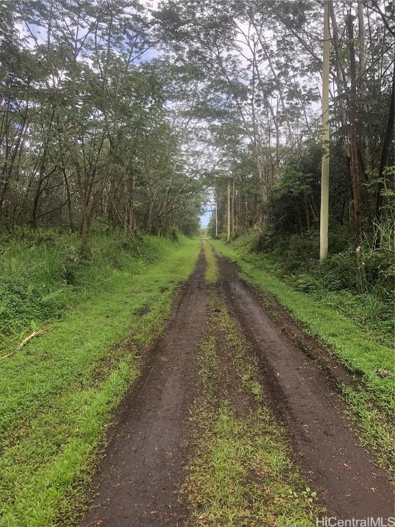 Listing photo 3 for 00 Pikake Rd, Pahoa HI 96778