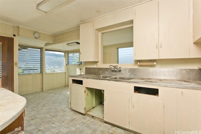 kitchen with white cabinetry, light countertops, and a sink