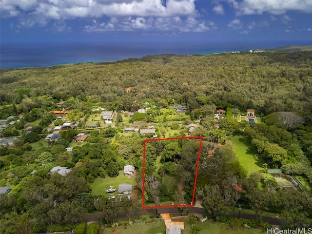 aerial view featuring a view of trees and a water view