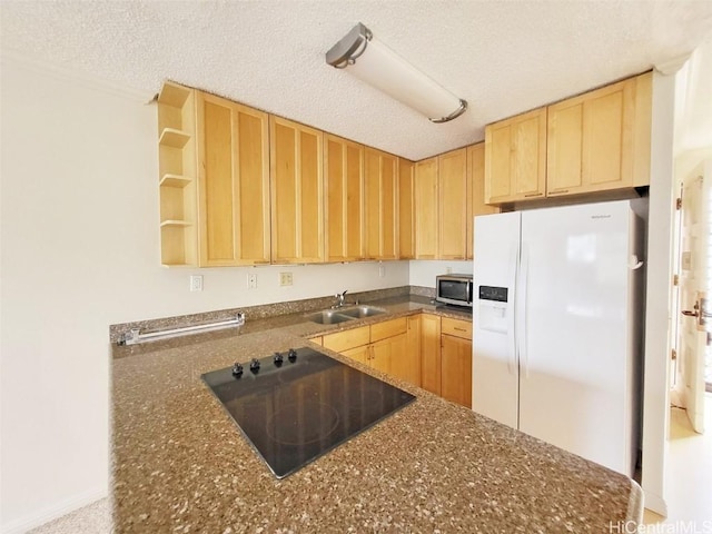 kitchen featuring black electric cooktop, white refrigerator with ice dispenser, a sink, open shelves, and stainless steel microwave