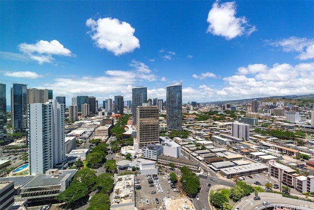 bird's eye view featuring a city view