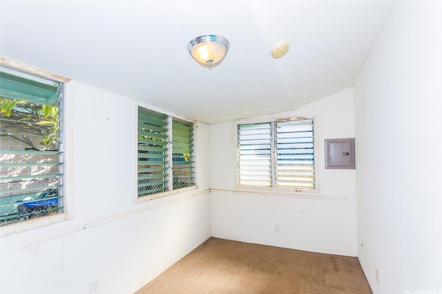 carpeted spare room with a wealth of natural light, vaulted ceiling, and electric panel
