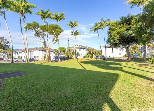 view of yard with a residential view