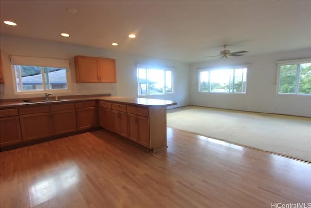 kitchen with brown cabinets, light wood-style floors, open floor plan, a sink, and a peninsula