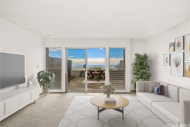 living room featuring a textured ceiling and light colored carpet