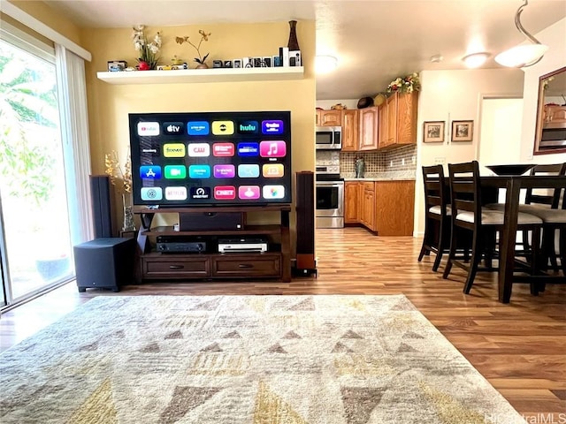 living room featuring wood finished floors