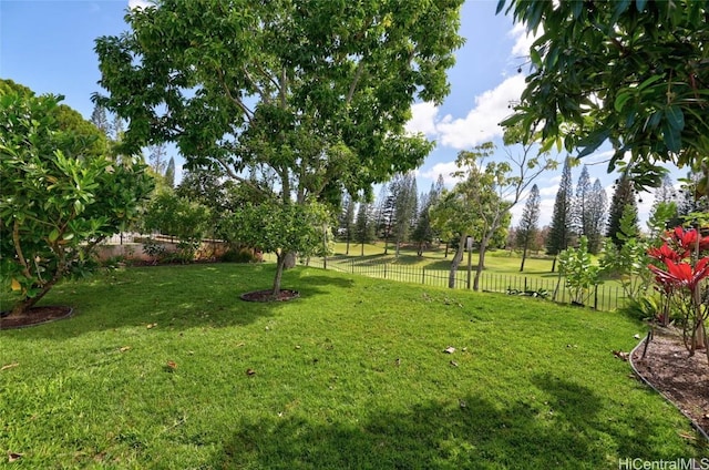 view of yard with a fenced backyard