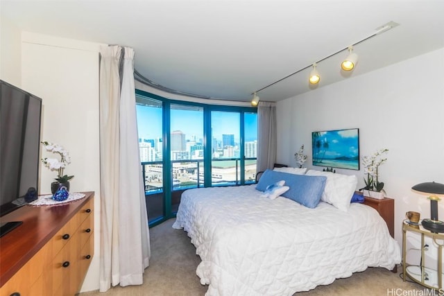 bedroom featuring light colored carpet and track lighting