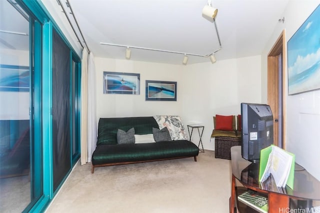 living area featuring rail lighting and carpet flooring