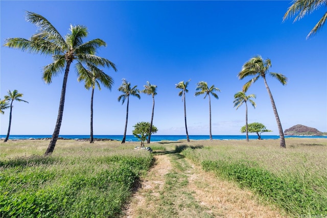 property view of water