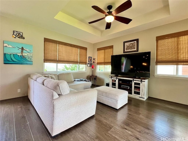 living area featuring a raised ceiling, plenty of natural light, and wood finished floors