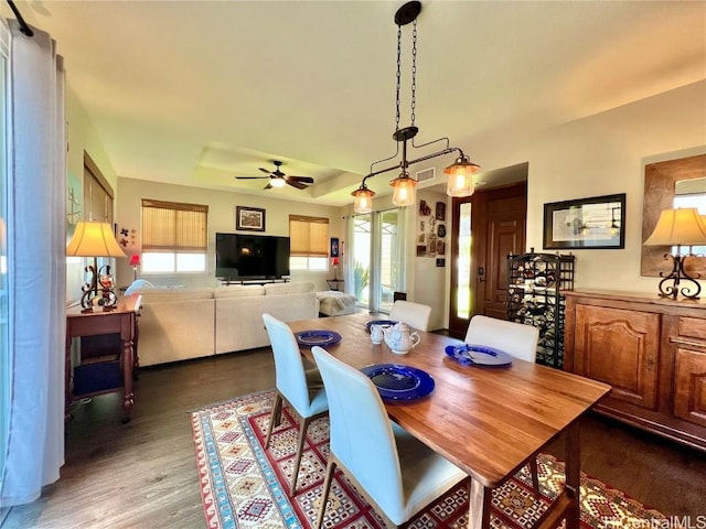 dining area with a ceiling fan, a raised ceiling, visible vents, and wood finished floors