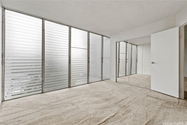 interior space featuring carpet floors and a textured ceiling