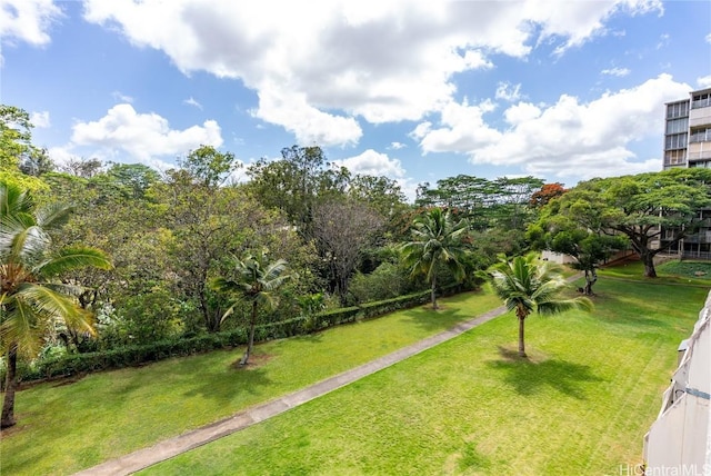 view of home's community with a yard