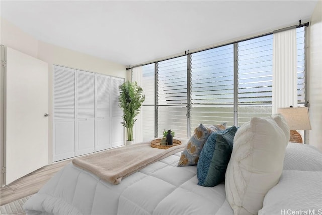 bedroom with a closet and wood finished floors