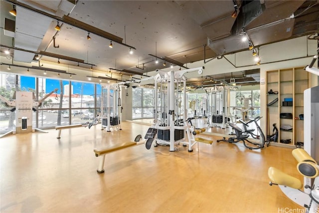 gym featuring rail lighting and wood finished floors