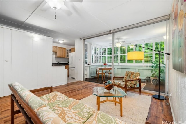 living area with ceiling fan and light wood finished floors